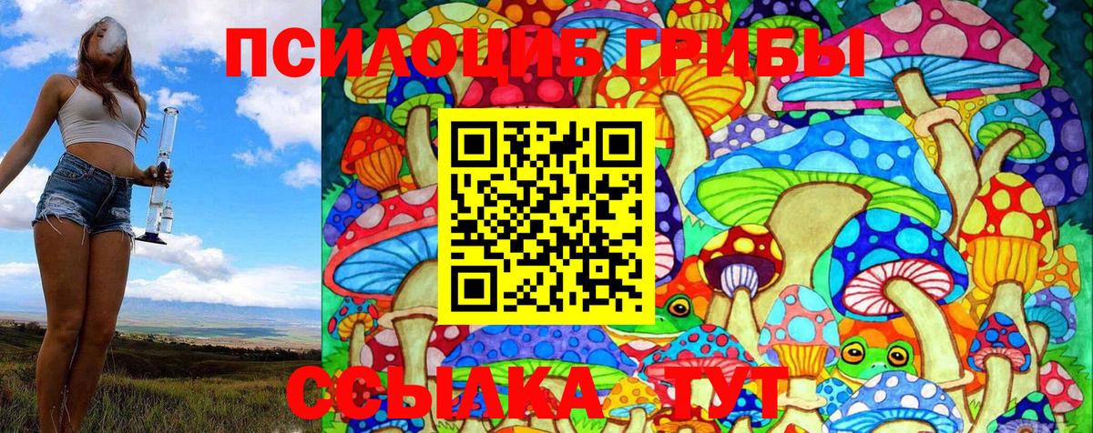 Псилоцибиновые грибы MAGIC MUSHROOMS  Псилоцибиновые грибы GOLDEN TEACHER  Фрязино  Вход с VPN 