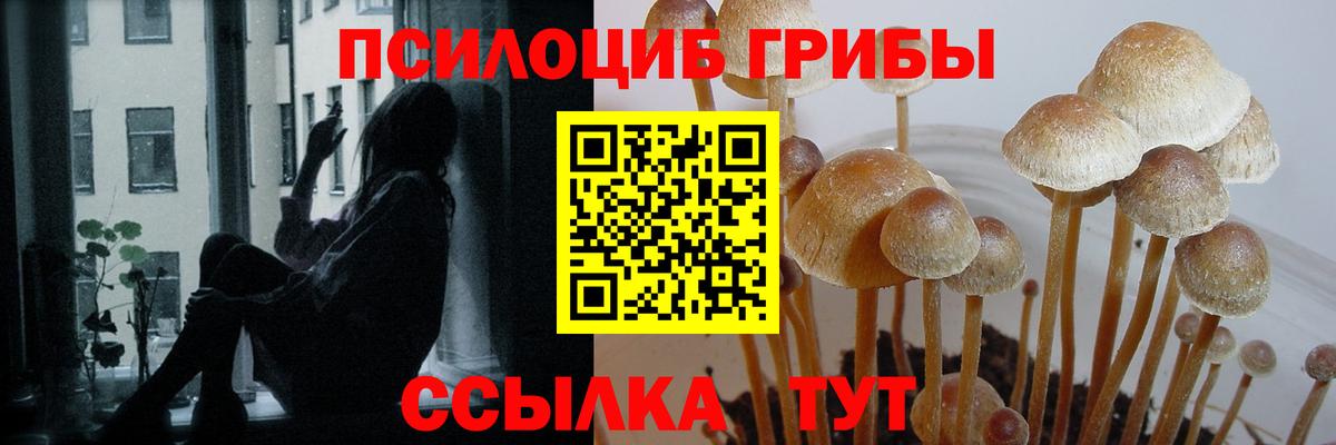 Псилоцибиновые грибы прущие грибы Фрязино